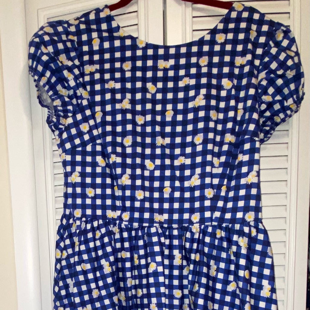 Unique Vintage Dress Nwot